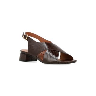 Sandalia VIENA REPTIL CHOCOLATE